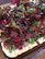 Lavender Pizza with Greens and Blackberry Drizzle